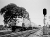 2-The Lakeshore Express at Oxford Avenue